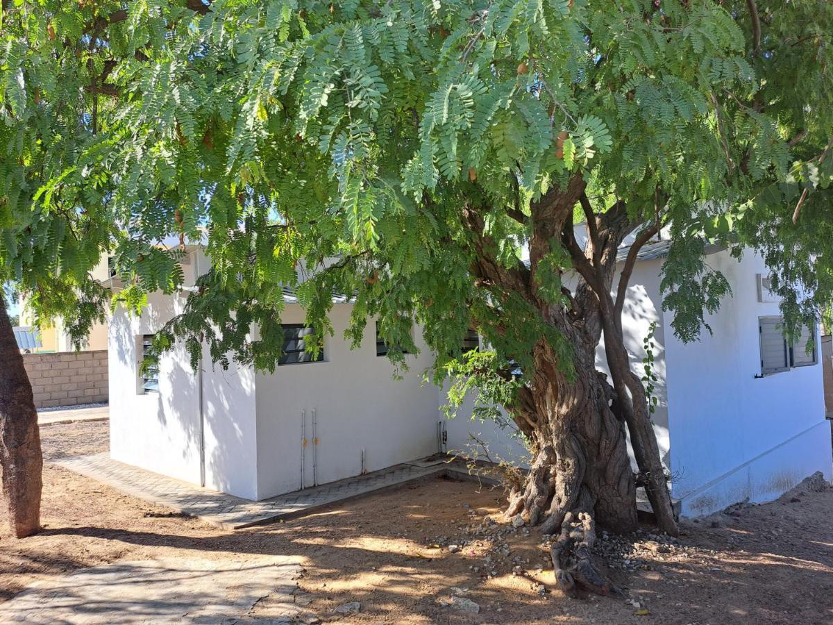 Appartement Le Tamarin à Toliara Extérieur photo